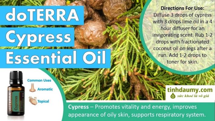 Tinh dầu Bách địa trung hải hay tinh dầu doterra Cypress giúp tăng cường sức khỏe và bổ sung năng lượng. Ngoài ra còn giúp cải thiện sự xuất hiện của da nhờn. Dùng chung với các loại dầu cam quýt để có mùi thơm dễ chịu nhất