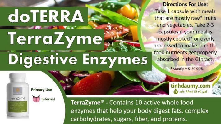 Sử dụng Men tiêu hóa DigestZen TerraZyme® - Tinhdaumy.com