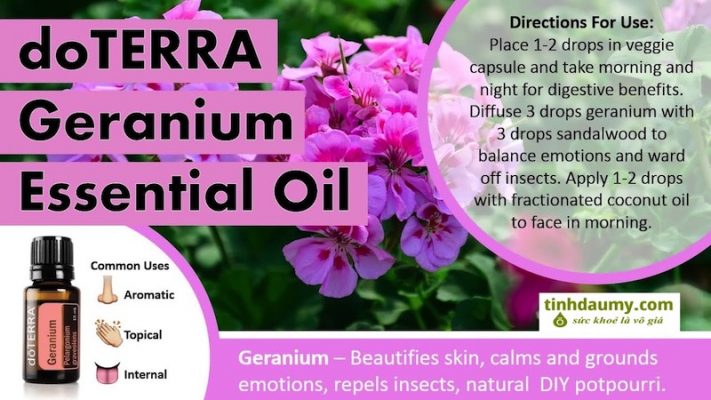 Tinh dầu Phong lữ doterra Geranium công dụng và nhiều lợi ích cho da và tóc