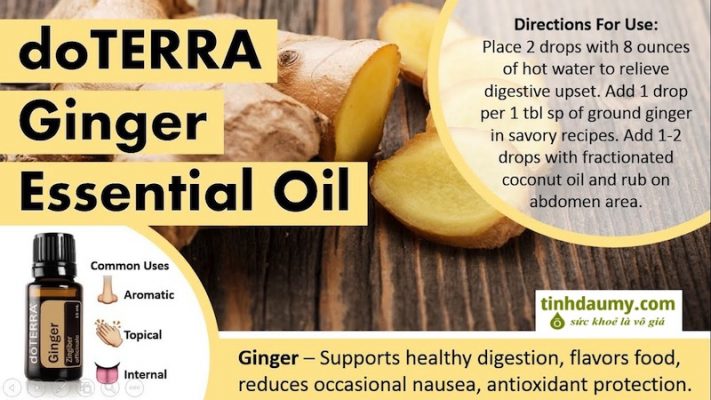 Tinh dầu Gừng doterra Ginger nhiều công dụng và lợi ích - Tinhdaumy.com