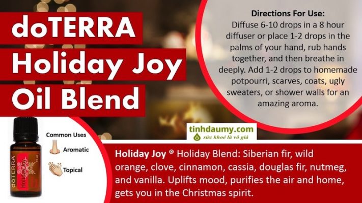 Tinh dầu Niềm vui ngày nghỉ Holiday Joy - Tinhdaumy.com