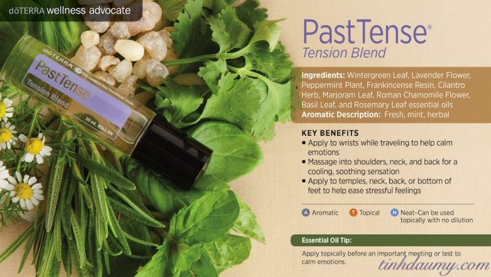 Công dụng và cách dùng tinh dầu doterra PastTense giúp giảm Đau đầu căng thẳng - Tinhdaumy.com