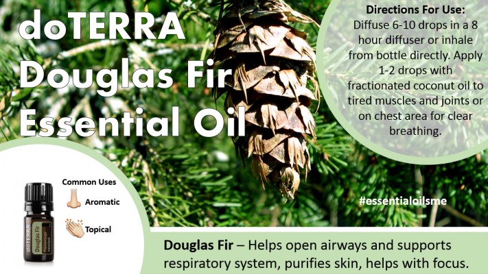 Tinh dầu Linh sam doterra Douglas Fir có nhiều tác dụng và lợi ích trong việc gia tăng khả năng của hệ hô hấp, giúp làm sạch da, mang lại tâm trạng thoải mái và nâng cao khả năng tập trung.