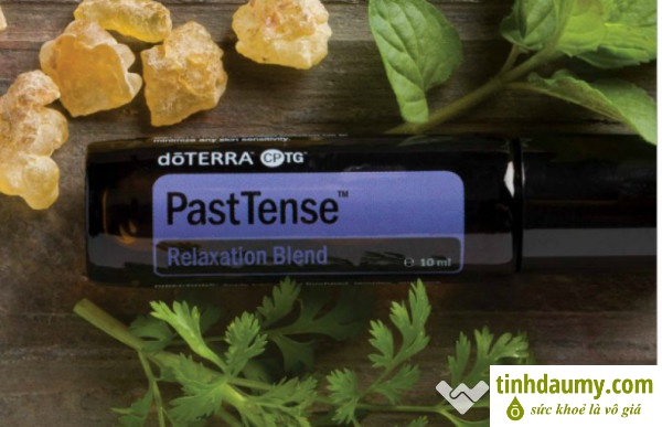 Tinh dầu PastTense chuyên hỗ trợ đau đầu căng thẳng, stress 