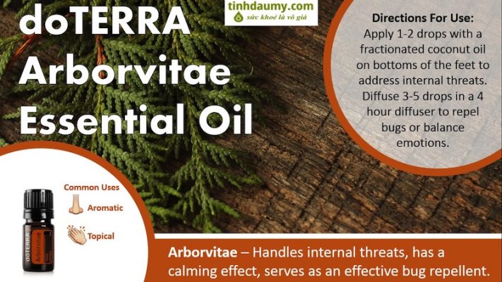 Tinh dầu Arborvitae tuyết tùng đỏ giúp làn da tươi sáng, khỏe mạnh, làm sạch da, chống côn trùng và bảo quản gỗ , nhiều lợi ích công dụng độc đáo cho sức khoẻ.