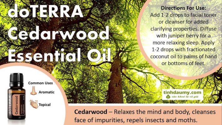Tinh dầu gỗ Bách Xù doterra Cedarwood - Tinhdaumy.com