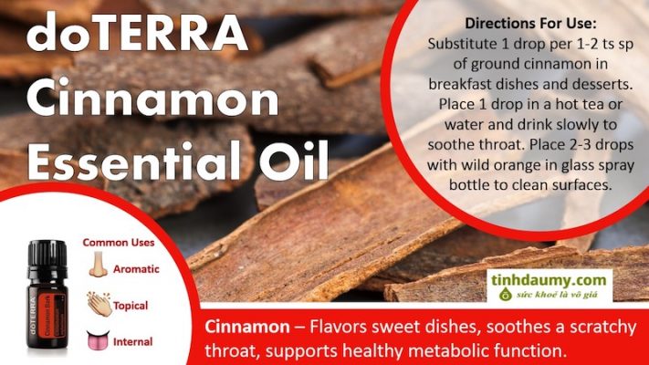 Tinh dầu Quế quan, quế Srilanka cách dùng và lợi ích của tinh dầu doterra Cinnamon Bark